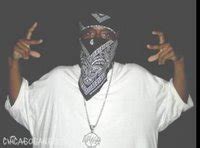 Gangster disciples rakes. Things To Know About Gangster disciples rakes. 